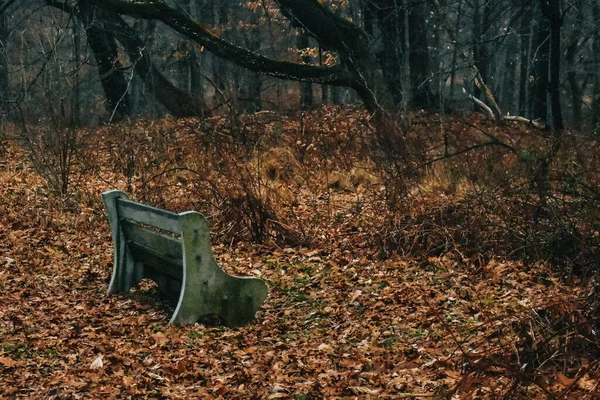 A Concrete and Wood Bench With Moss Growing on it in an Autumn Forest