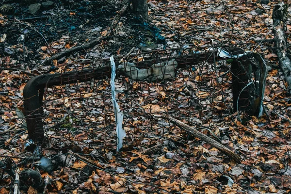 Ржавая Сломанная Кровать Оставленная Осеннем Лесу — стоковое фото