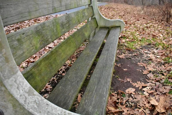 A Concrete and Wood Bench With Moss Growing on it in an Autumn Forest