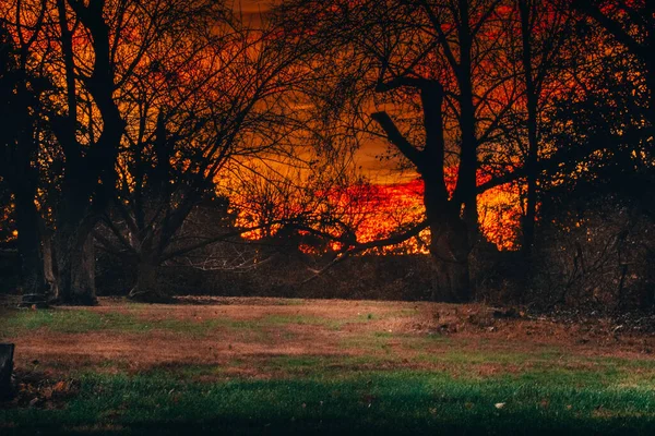 Coucher Soleil Orange Vif Dans Une Petite Zone Boisée — Photo