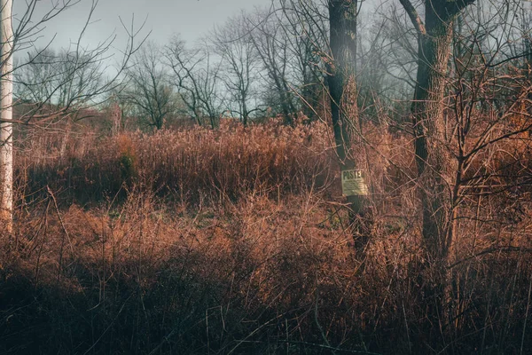 Campo Morto Inverno Con Cartello Albero Che Dice Non Oltrepassare — Foto Stock