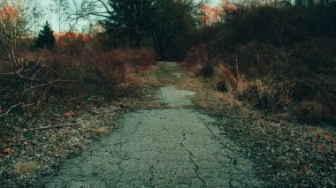 Sonbaharda Bir Tarladan Geçen Eski ve Kırık Beton Yol