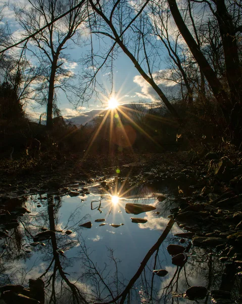 Soleil Réfléchissant Ruisseau Dans Une Forêt Avec Ciel Bleu Clair — Photo