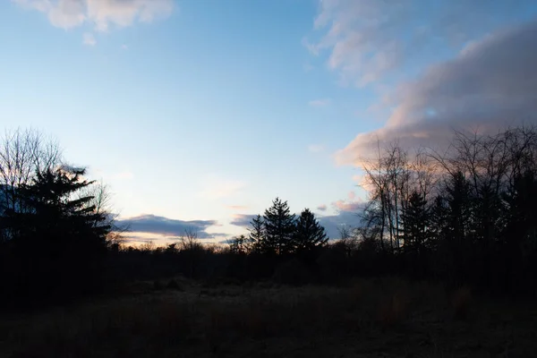 Céu Brilhante Claro Sobre Uma Floresta Silhueta Pôr Sol — Fotografia de Stock