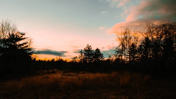 Cielo Claro Brillante Sobre Bosque Siluetas Atardecer —  Fotos de Stock