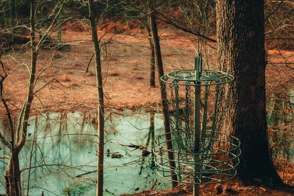 池の後ろに死んだ冬の森のチェーンフリスビーゴルフホール — ストック写真
