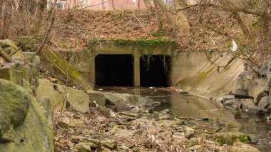 Sonbahar Ormanı 'nda sığ bir derede Karanlık ve Ürkütücü bir Geçit.
