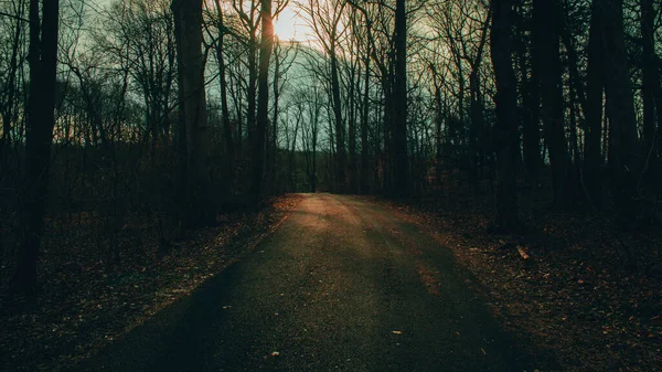 Camino Blacktop Bosque Invierno Muerto Con Una Puesta Sol Naranja — Foto de Stock