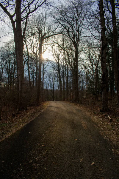 Camino Blacktop Bosque Invierno Muerto Con Una Puesta Sol Naranja —  Fotos de Stock