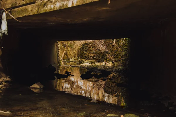 Ένα Shallow Creek Που Ρέει Κάτω Από Μια Γέφυρα Σκυροδέματος — Φωτογραφία Αρχείου