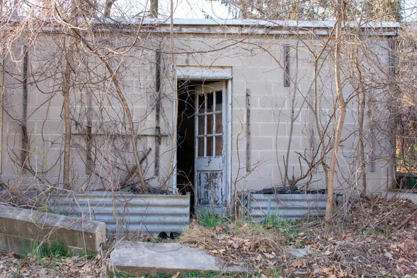 扉のある放棄されたコンクリートの建物わずかに開いて死んだブドウ壁を登る — ストック写真