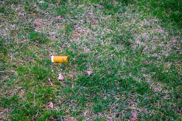 Een Sinaasappel Voorgeschreven Pil Fles Een Veld Van Groen Gras — Stockfoto