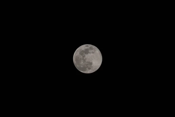 Μεγάλο Ροζ Υπερφεγγάρι Του Απριλίου 2020 — Φωτογραφία Αρχείου