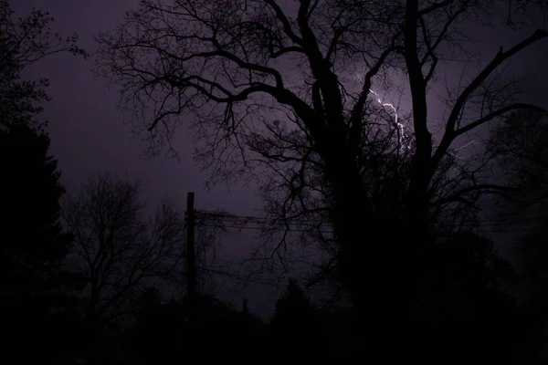 Ein Lilafarbener Blitzeinschlag Hinter Silhouettierten Bäumen — Stockfoto