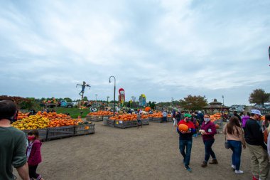 MEDIA, PENNSYLVANIA - 11 Ekim 2020: Linvilla Bahçeleri Çiftçi Pazarı ve Bahçe Merkezi sonbahar sezonu için tonlarca balkabağı satıyor.