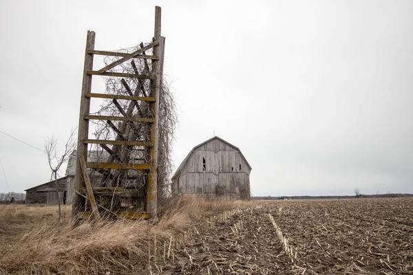 Verlaten Midwest Schuur Landelijke Schuur Maïs Zitten Leeg Het Kerngebied — Stockfoto