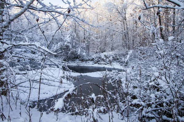 Paisaje Del Bosque Invierno Nieve Fresca Caída Bosque Salvaje Orillas —  Fotos de Stock