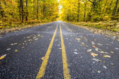 Michigan renk Tour Güz. Geniş açık bir sonbahar orman sonbahar renkle ışıltısı ile kırsal yol.