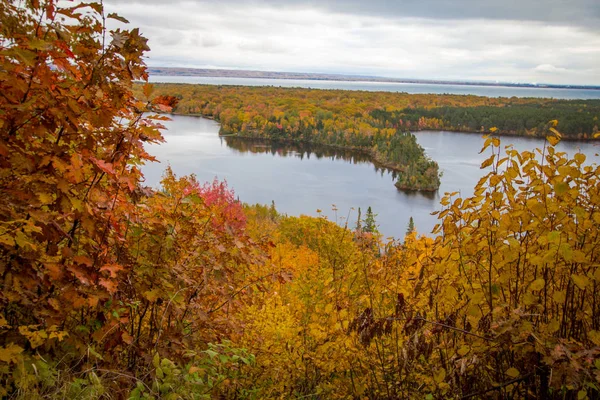 Michigan Autumn Scenic Panorama Vibrant Autumn Color Northern Michigan Forest — Stock Photo, Image