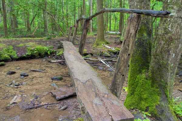 Passeggiata Sul Ponte Pedonale Nel Parco Nazionale Delle Smoky Mountains — Foto Stock