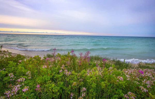 Sunset Beach Background Soft Sunlight Sky Coast Lake Huron Wildflowers — Stock Photo, Image