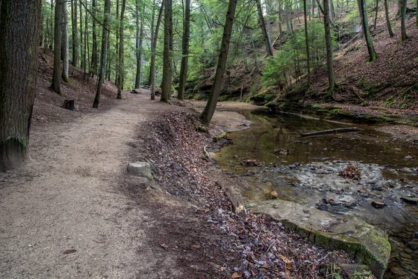 Fjärrkontroll Skogsstig Trail Genom Appalacherna Foothill Vildmarken Bredvid Flod Cedar — Stockfoto