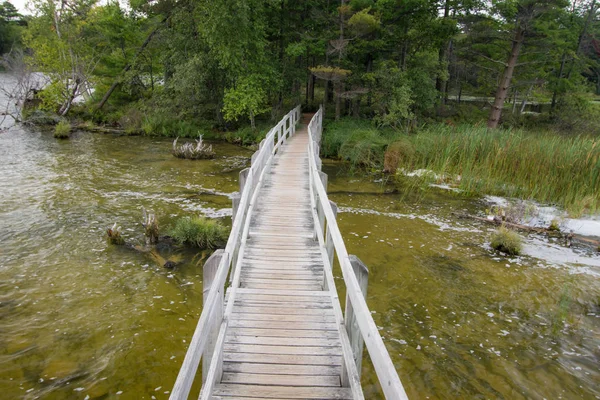 Bilinmeyen Bir Yolculuğa Bir Nehir Üzerinde Boardwalk Trail Karanlık Bir — Stok fotoğraf