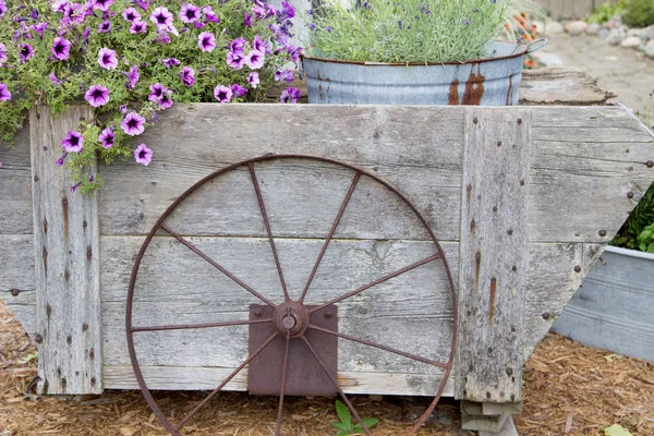 Rustic Decorative Garden Planter. Simple wooden garden country style wooden planter with purple petunias.