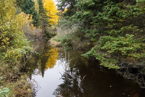 Autumn River Reflections Beau Feuillage Automne Reflété Dans Eau Une — Photo