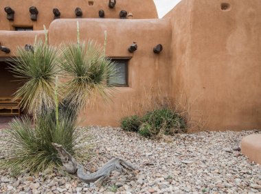Pueblo Style Ev Dış. Ön bahçesinde bir sabun ağacı yucca ile Amerikan güneybatı çölde Adobe tarzı bina dış. Bu yapı bir milli parkın bir parçasıdır ve özel mülkiyet veya konut. 