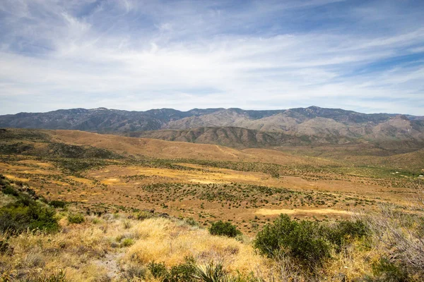 Arizona Wüstenlandschaft Trockene Wüstenlandschaft Mit Den Tucson Bergen Horizont — Stockfoto