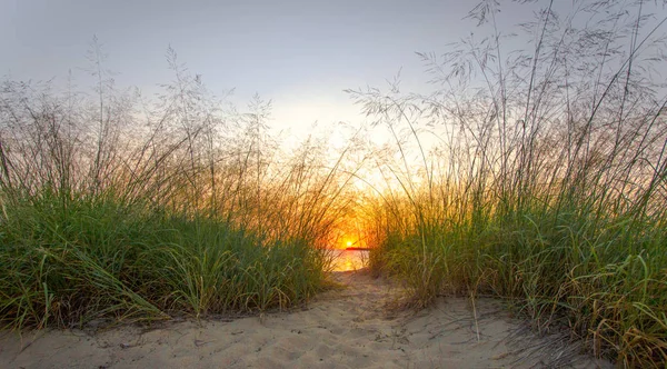 Sunset Trail Praia Areia Com Trilha Através Grama Duna Pôr — Fotografia de Stock