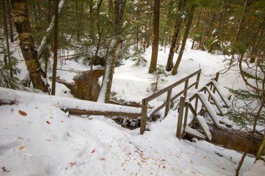 Kış Ormanı Sahnesi. Kuzey Michigan 'da küçük bir dere üzerinde yaya köprüsü. Taze kar yağışı var..