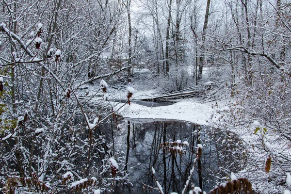 Winter Forest Scene Beautiful Pond Reflects Forest Scene Fresh Fallen — Stock Photo, Image