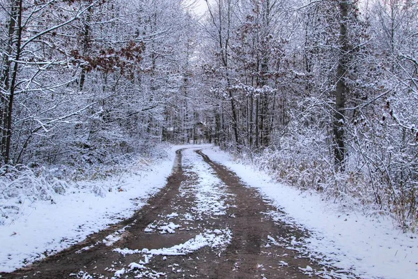 Inverno Tempo Condução Rural Uma Pista Estrada Terra Com Marcas — Fotografia de Stock