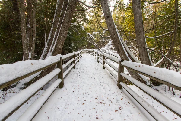 Winter Hiking Snow Covered Path North Country Trail Tahquamenon Falls — Stock Photo, Image