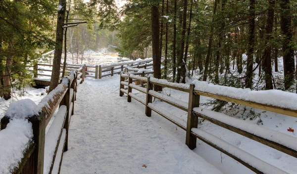 Winter Hiking Snow Covered Path North Country Trail Tahquamenon Falls — Stock Photo, Image