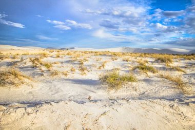 Güneşli Çöl Arkaplanı. Alamogordo, New Mexico 'daki White Sands Ulusal Anıtı' nda güneşli mavi gökyüzünün altında geniş bir çöl manzarası..