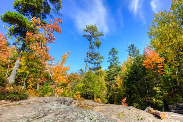 Herbstliche Waldlandschaft Porcupine Mountains Wilderness State Park Auf Der Upper — Stockfoto