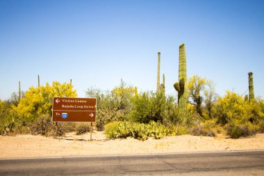 Saguaro Ulusal Parkı. Tucson, Arizona, ABD 'deki Saguaro Ulusal Parkı' nda Bajada Sahne Döngüsü ve Ziyaretçiler Merkezi için imza atın..