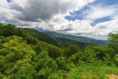Scenic View On The Cherohala Skyway. Vast wilderness and forest on the Cherohala Skyway. The scenic drive winds through the Appalachian Mountains of the Nantahala and Cherokee National Forest on the border of North Carolina and Tennessee. clipart