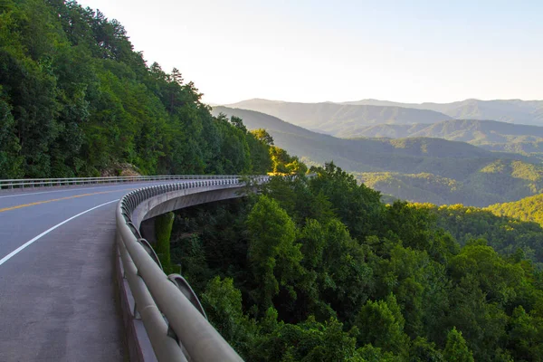 Foothills Parkway 'i sürüyorum. Tennessee, ABD 'deki Wears Valley, Tennessee' deki Great Smoky Mountains Foothills Parkway boyunca dönen dağ yolu.
