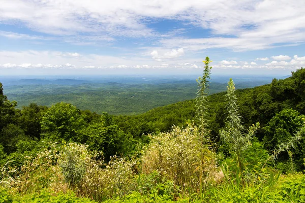 Townsend, Tennessee yakınlarındaki Great Smoky Mountain Foothills Parkway 'den görülen yemyeşil bir dağ vadisi.. 