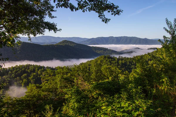 Misty Smoky Mountain Sunrise Mist Valley Great Smoky Mountains National Stock Picture