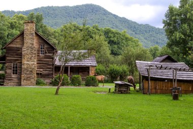 Kuzey Carolina, Cherokee 'deki Ocanaluftee Ziyaretçi Merkezi' nde tarihi bir kulübe önünde Büyük Smoky Dağları Ulusal Parkı 'nda geyik otluyor. Bu, milli parktaki tarihi bir yapı, özel mülkiyet ya da ikamet yeri değil.. 