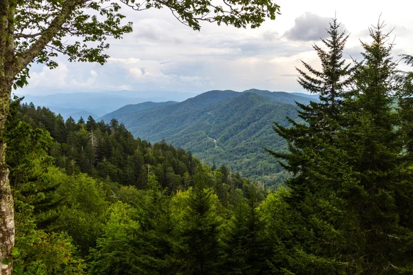 Été Dans Parc National Des Grands Smoky Mountains Sur Promenade — Photo