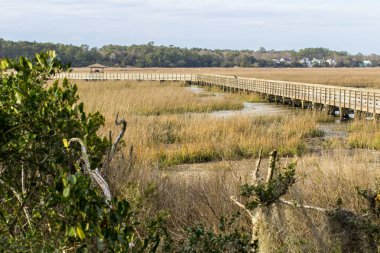 South Carolina Low Country. Boardwalk through the Carolina low country at Huntington Beach State Park between Myrtle Beach and Charleston, SC.  clipart