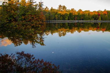 Michigan Sonbahar Renkleri. Güzel sonbahar renkleri Ludington Eyalet Parkı 'ndaki Kayıp Göl' ün mavi sularını yansıtıyor.. 