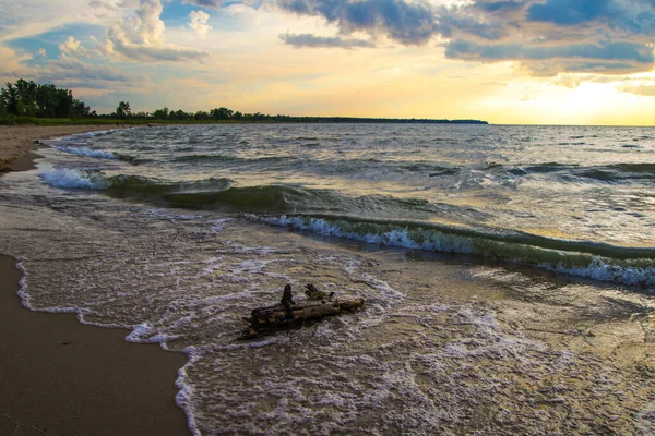 Drewno Dryfujące Plaży Fale Myją Duży Kawałek Drewna Dryfującego Brzegu — Zdjęcie stockowe