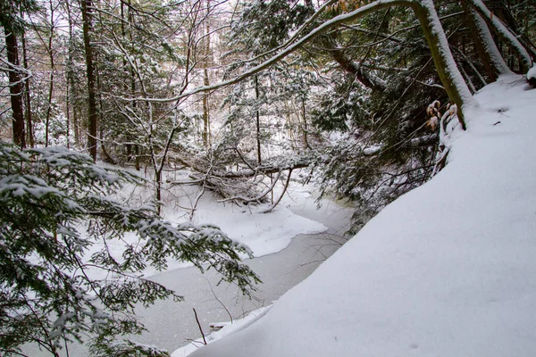 Spokojny Zimowy Krajobraz Świeże Koce Śnieżne Spokojne Zalesione Otoczenie Zamarzniętą — Zdjęcie stockowe